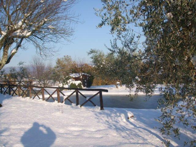 Poggio Agli Ulivi Villa Барберино ди Мугело Екстериор снимка